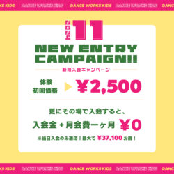 【 KIDS NEW ENTRY 】11月限定🌳 新規入会・体験 CAMPAIGN!!!